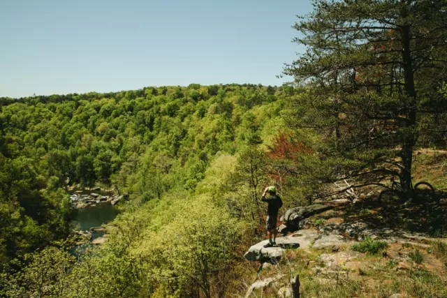 A person looks off into the distance, out into the scenic DeSoto State Park.