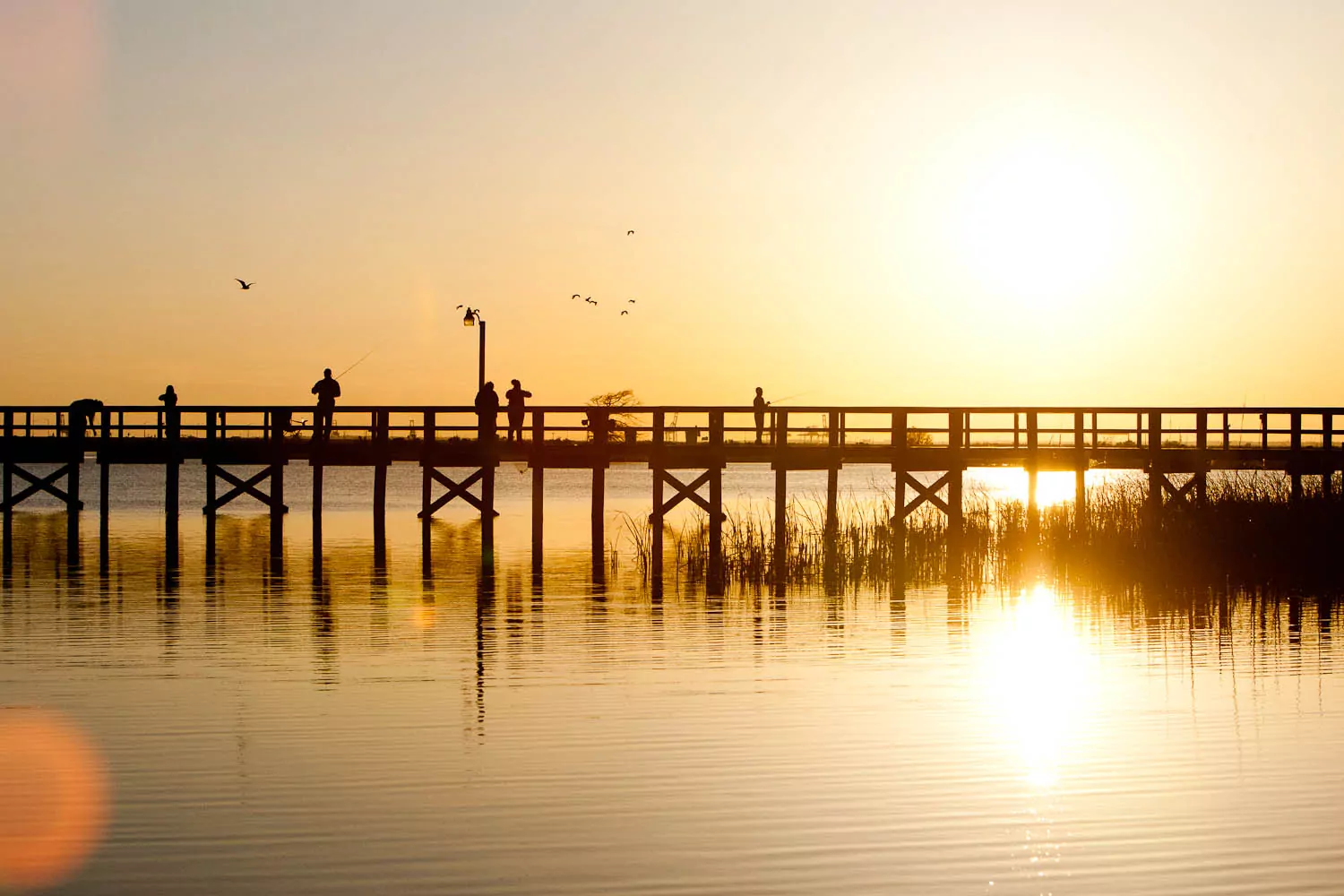 Why an Outdoors Startup Founder And His Family Moved to Alabama