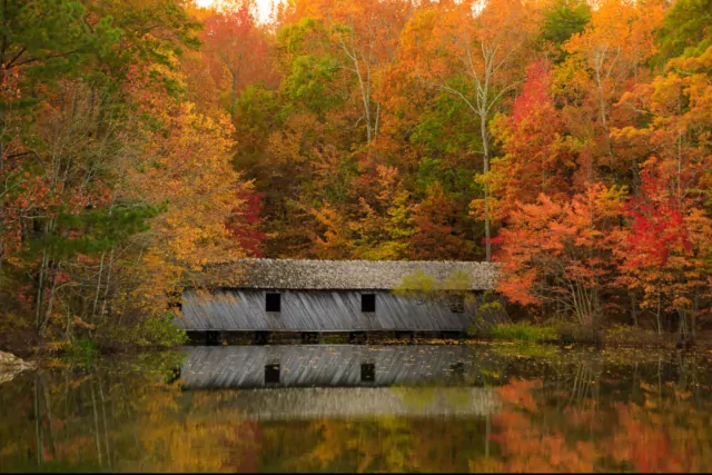 Fall colors decorate the trees surrounding a cabin.