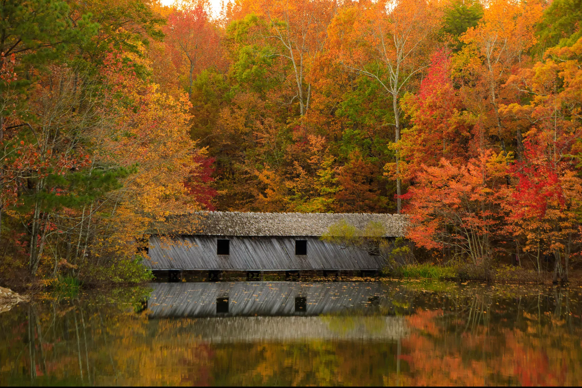 Fall colors decorate the trees surrounding a cabin.
