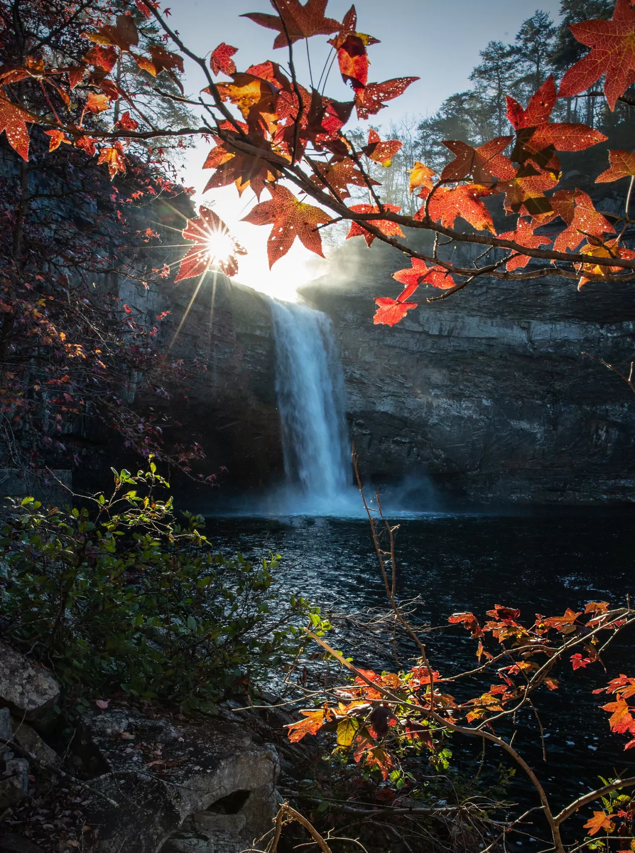 A waterfall rushes in the background as orange leaves mask in the foreground.