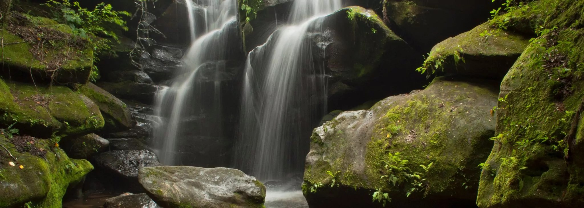 Lighting the Night: Alabama’s Dismals Canyon Offers a Rare After-Dark Show